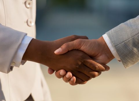 Dark skinned businesswoman shaking hands with male colleague