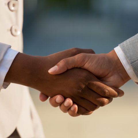 Dark skinned businesswoman shaking hands with male colleague